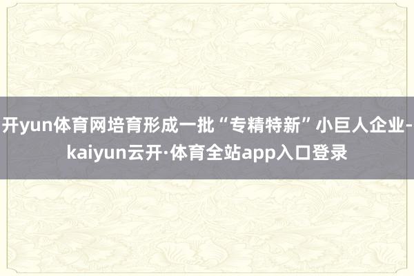 开yun体育网培育形成一批“专精特新”小巨人企业-kaiyun云开·体育全站app入口登录